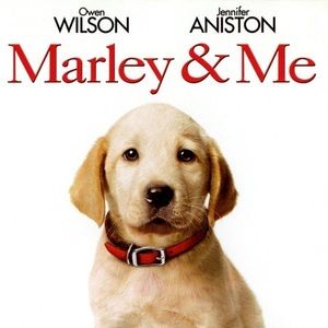 ⭐️ Marley & Me BluRay - USED
